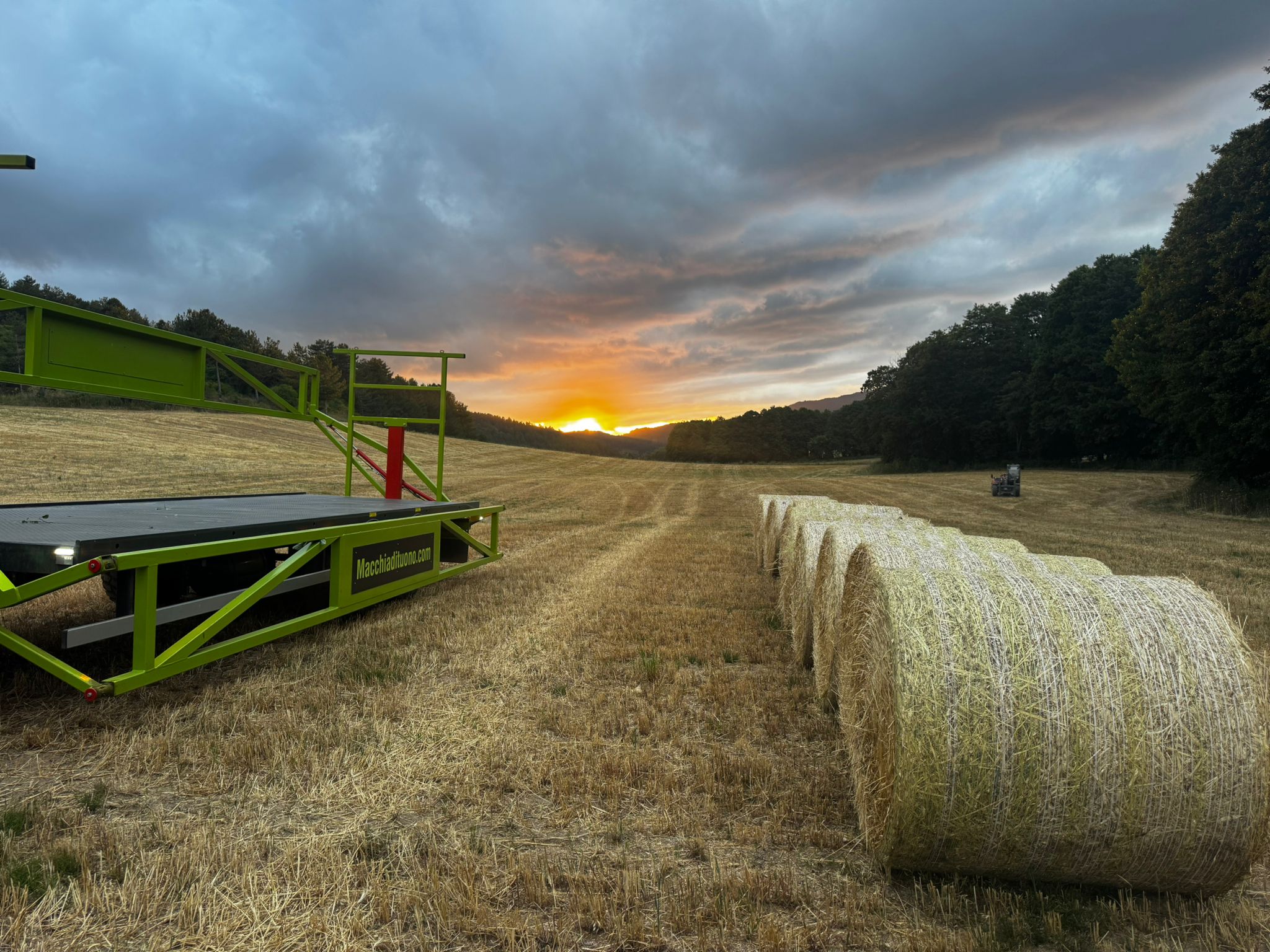 Vista panoramica dei terreni luglio 2025